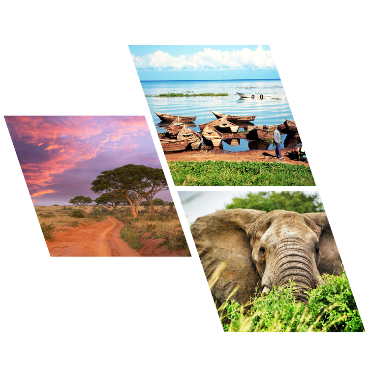 Benny's Royal Tours - Discover Uganda from Kerala