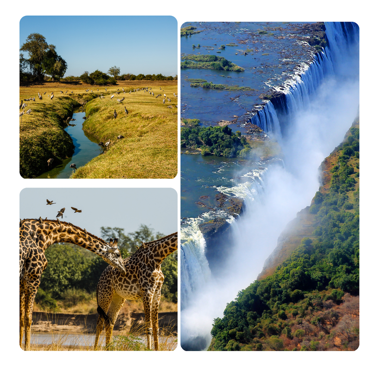 Benny's Royal Tours - Discover Zambia from Kerala