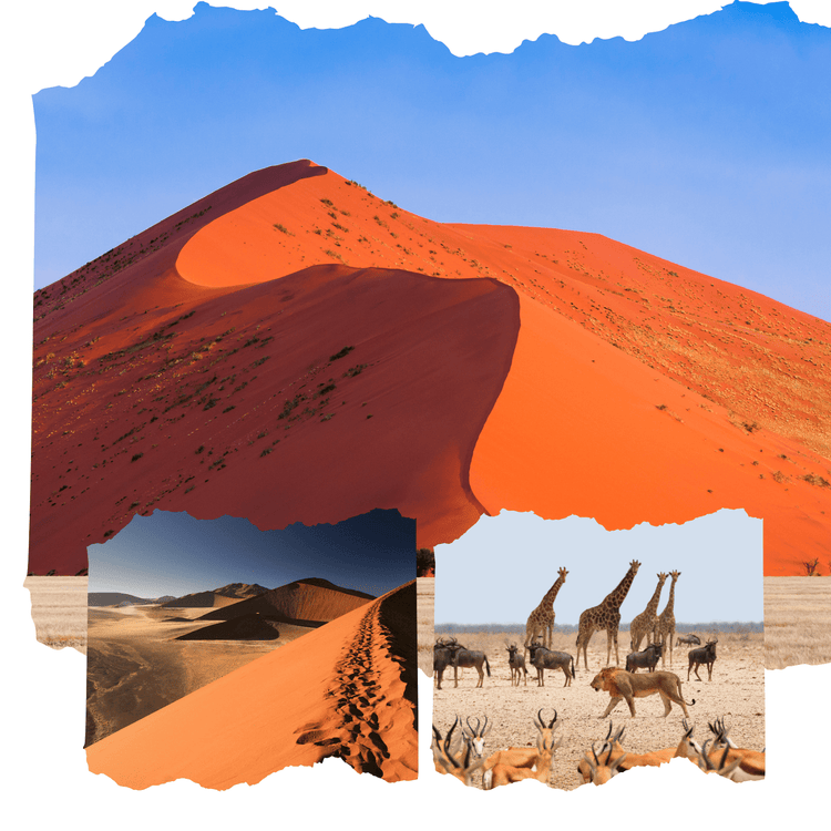 Benny's Royal Tours - Discover Namibia from Kerala